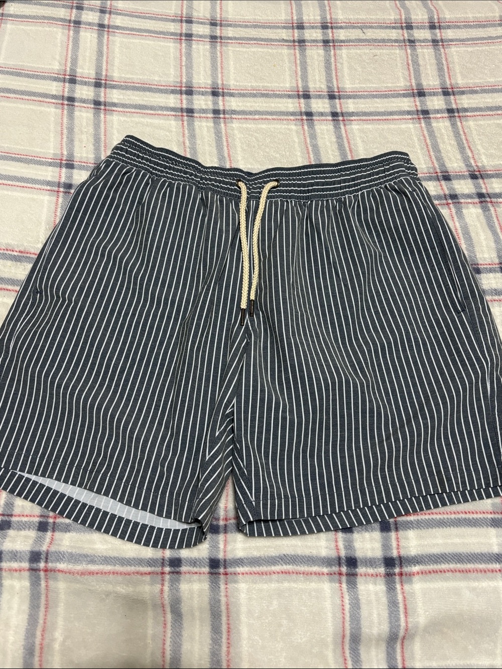 Fair Harbor Bayberry Swim Trunks